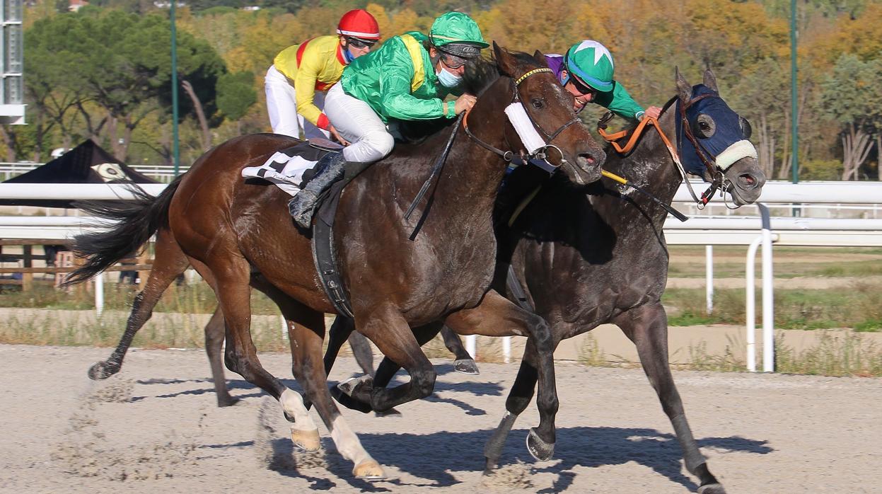 carreras de caballos en el Hipódromo de la Zarzuela