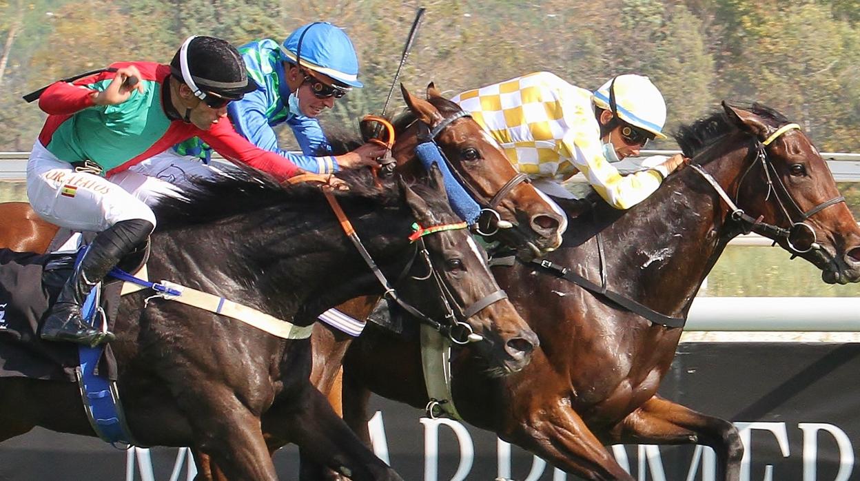 Domingo navideño en el Hipódromo de Madrid