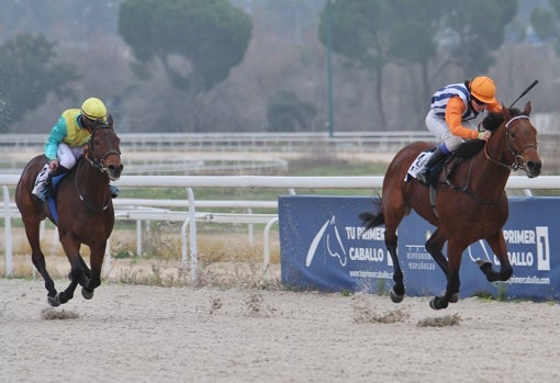 «KOSCIUSZKO» - 2ª CARRERA «PREMIO ROBERTO LÓPEZ» - Foto cedida por «Revista DC PRO»