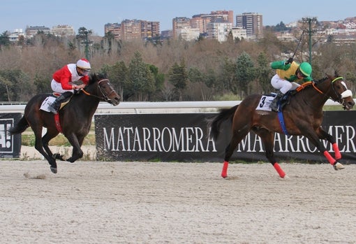 «MELAMPO» - 3ª CARRERA «JESÚS MÉNDEZ» - Foto cedida por «Revista DC PRO»