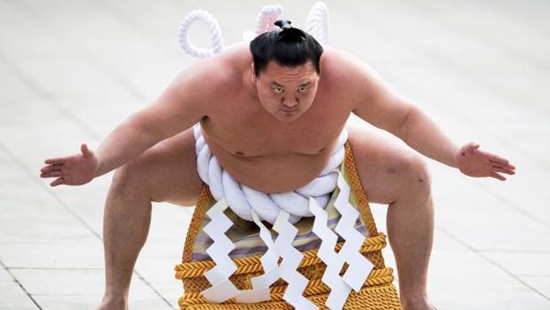 Pesadilla en el sumo japonés