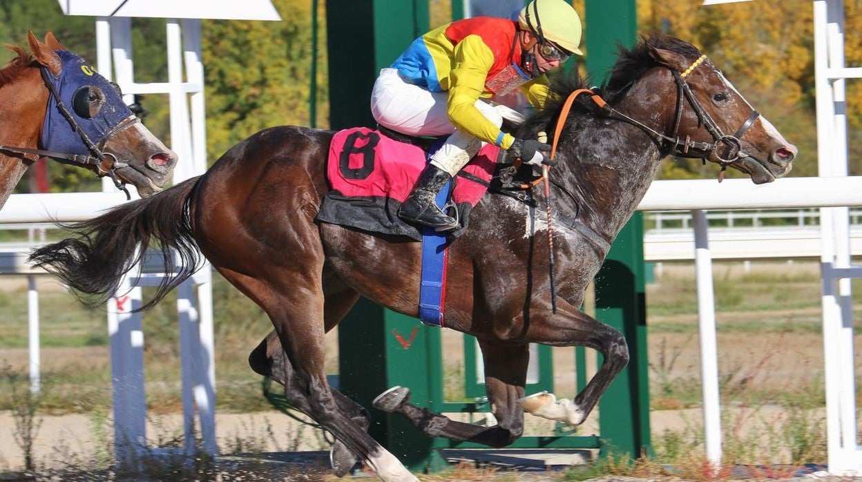 Segunda jornada de la Temporada de Invierno en el Hipódromo de Madrid