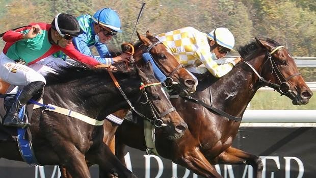 Tercera jornada de la temporada de invierno en el Hipódromo de Madrid