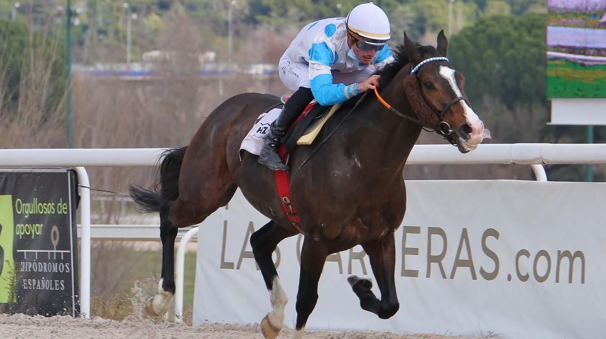 Carreras de caballos en el Hipódromo de Madrid