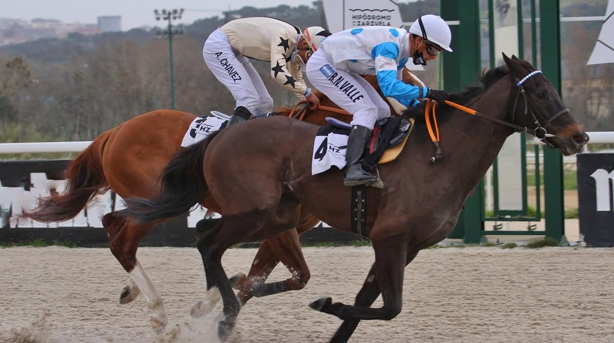 New Jack Swing ganó el Premio Hipódromo de San Sebastián