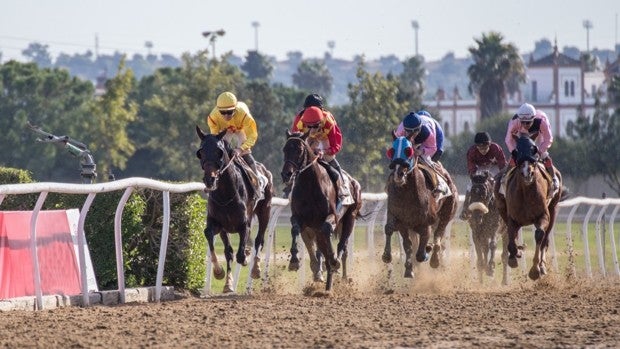 La emoción del turf regresa  a Pineda con cinco pruebas