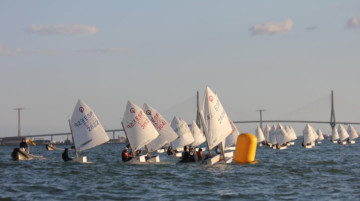 Cuellar, Infante, Frías, Delgado, Arauz y Castillo, ganadores de la Copa de Andalucía de Optimist