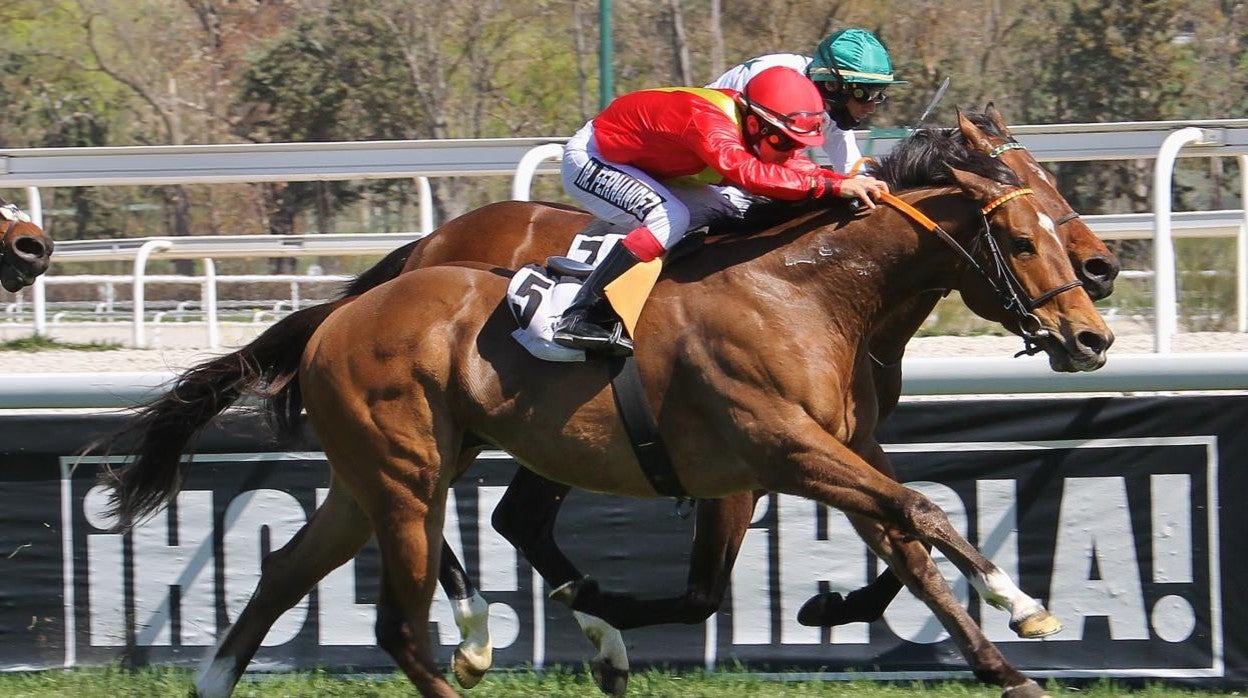 "SALLAB" - 5ª CARRERA "PREMIO ASOCIACIÓN DE HIPÓDROMO DE ESPAÑA"