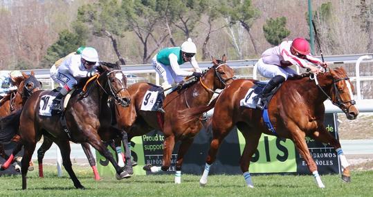 "DIMAX" - 6ª CARRERA "PREMIO BENITO MARTÍN"