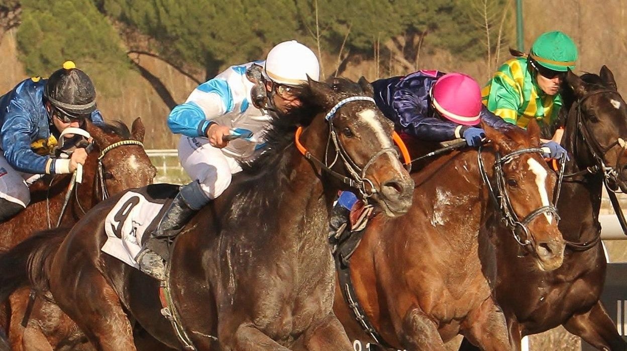 Carrera de caballos en el Hipódromo de la Zarzuela