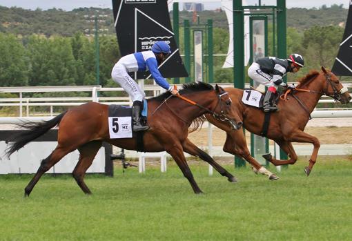 Bribón, ganador del Premio José Antonio Borrego