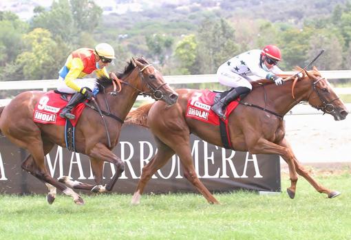 Navia, ganadora del Gran Premio Beamonte-Oaks 2020