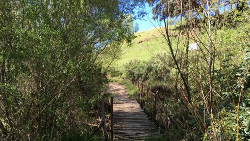 Imagen de una de las rutas que ofrece Setenil de las Bodegas.