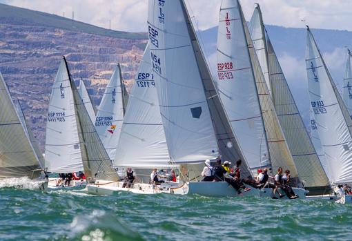 «NeWind Foods», campeón de la Copa España de J80 en el Abra