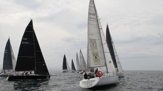 La Ballena de Oro se decide en San Sebastián