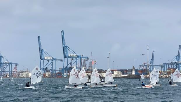 Tenerife, imbatible en el Campeonato de Canarias de Optimist