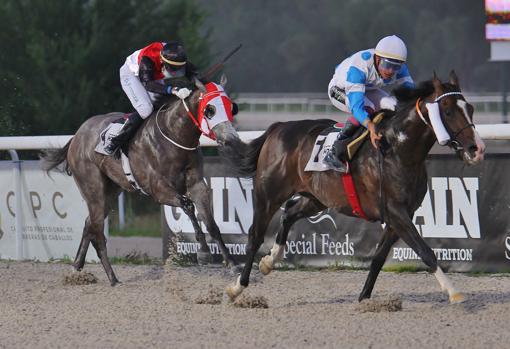 BABA KARAM" - 1ª CARRERA "PREMIO CRÍA NACIONAL - DYHIM DIAMOND"