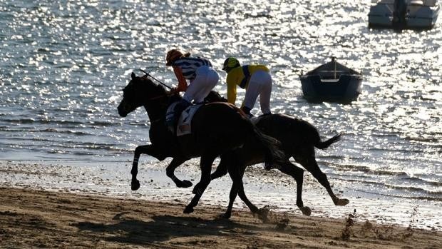 72 caballos acudirán al segundo ciclo