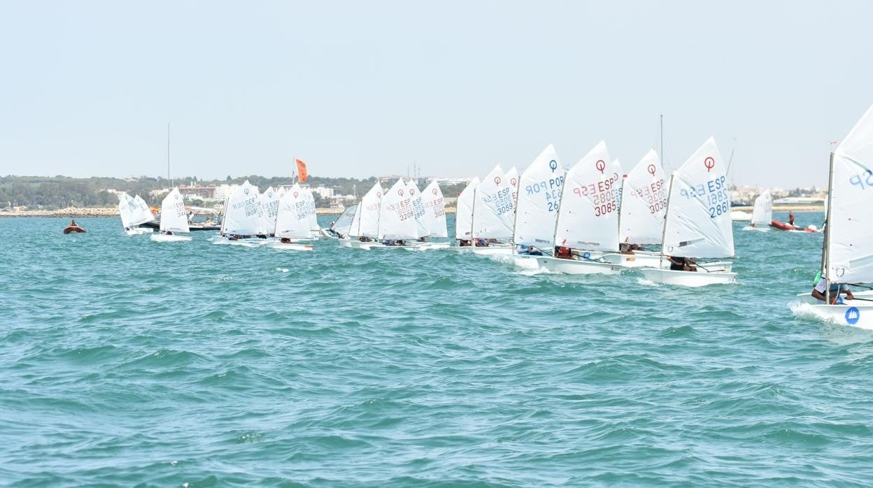 La competición de clase Optimist en la bahía de Cádiz.