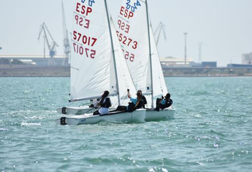 Embarcaciones 420 en la bahía de Cádiz.