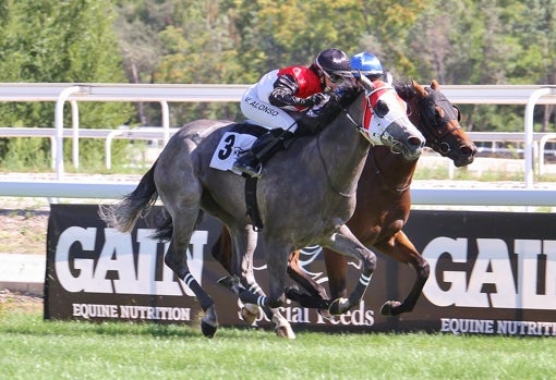 «BELADOR» - 3ª CARRERA «PREMIO ABRAHAM GARCÍA»