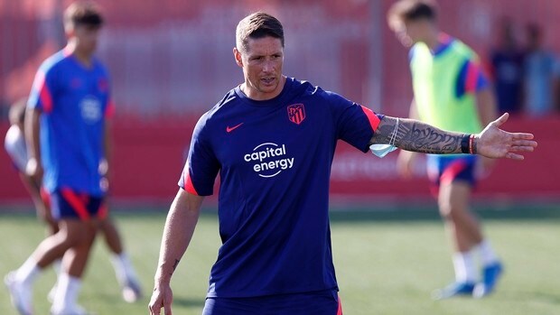 Fernando Torres, denunciado por entrenar sin título