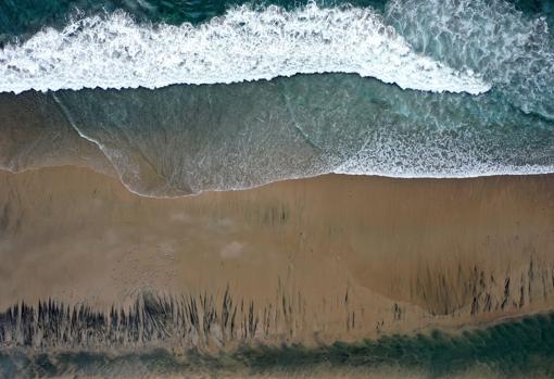 El crudo, acumulado en la orilla de la playa californiana