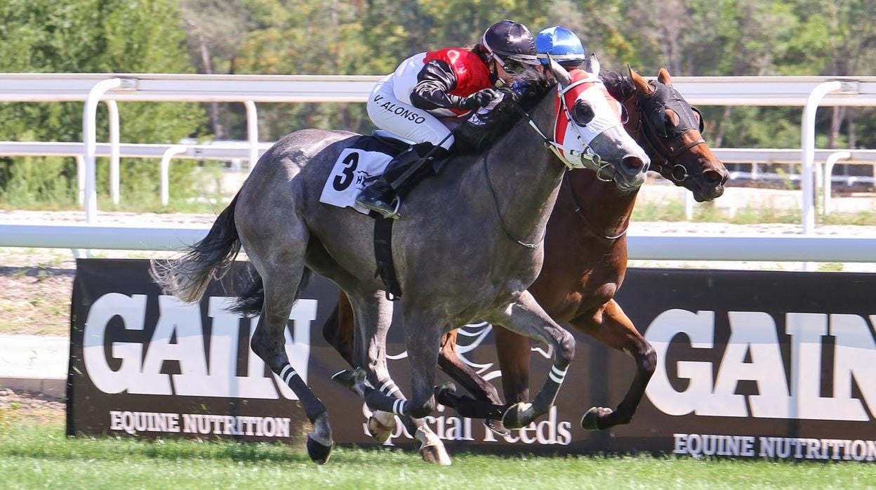 Emocionante llegada en el Hipódromo de la Zarzuela