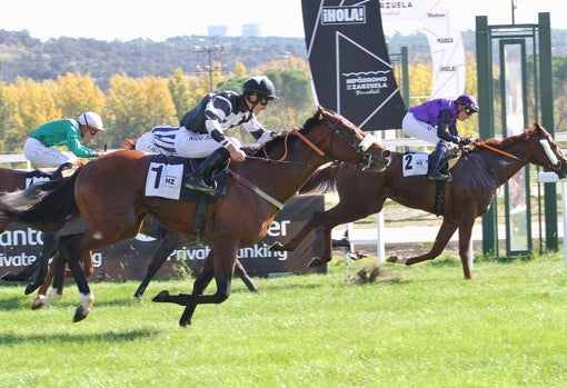 «BARBADO» - 2ª CARRERA «PREMIO SOUDZOU»