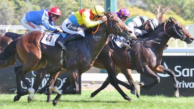 Gran éxito con el espectáculo y ocio familiar en el Hipódromo de Madrid