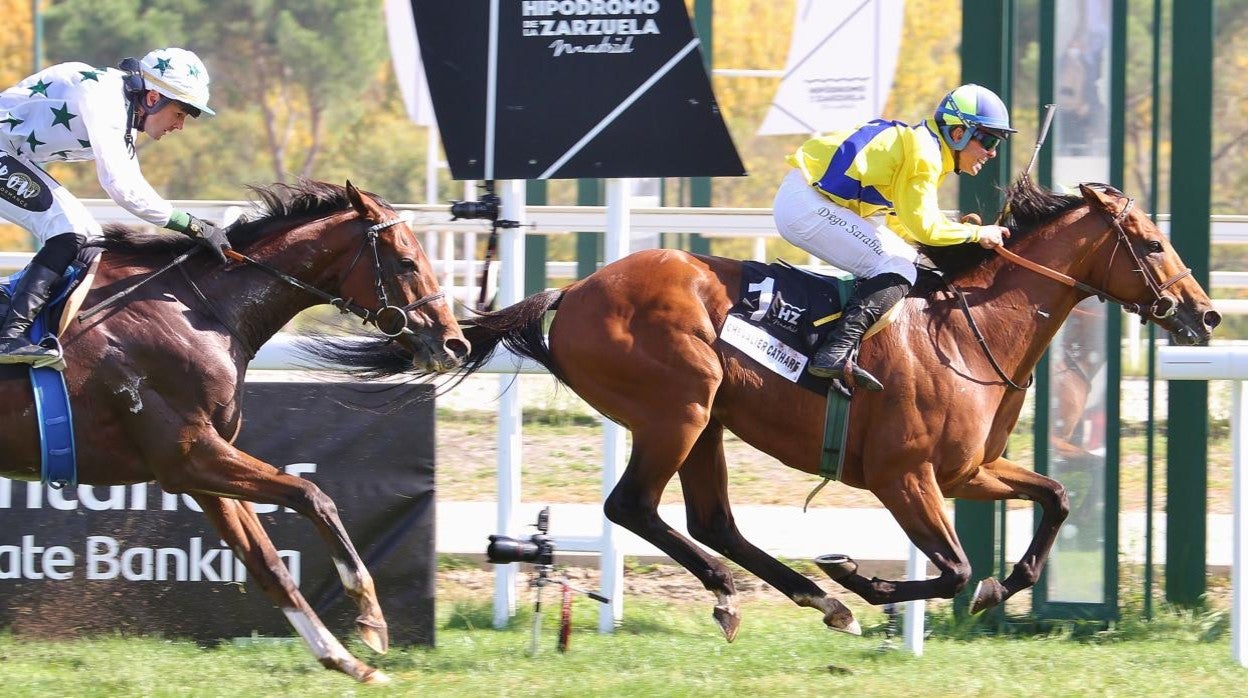 Chevaliere Cathare ganó la quinta carrera, el Gran Premio Memorial Duque de Toledo