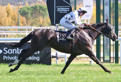 "DAJLA" - 5ª CARRERA "GRAN PREMIO 80 ANIVERSARIO HIPÓDROMO DE LA ZARZUELA"