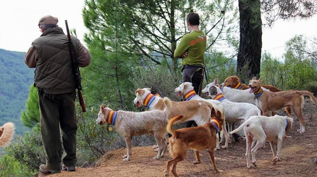 Dos cazadores acompañados de sus perros