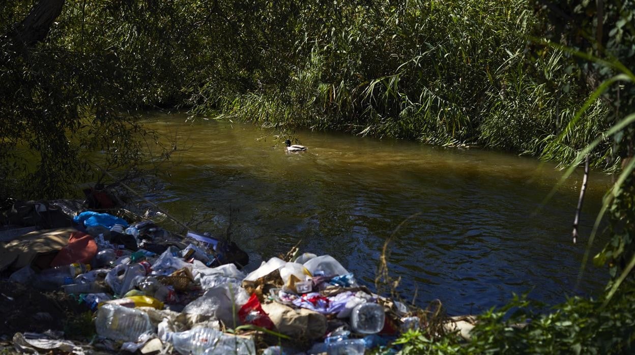 Francisco Narla: Un otoño callado… Un invierno quejoso