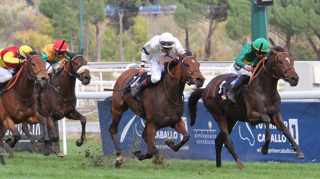 Tronío, ganador del Gran Premio Nacional 2020