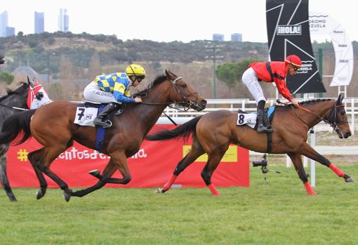 "SPANISH COLT" - 2ª CARRERA "PREMIO CASUALIDAD"