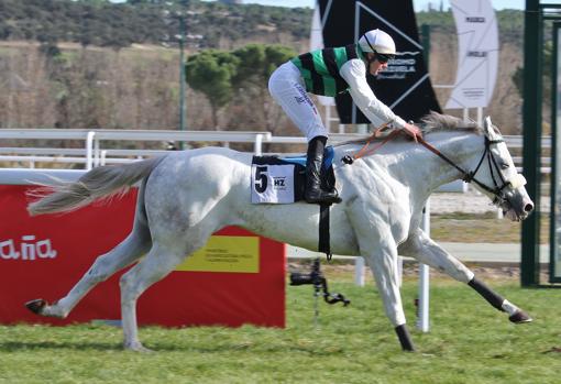 "WHITE KING" - 3ª CARRERA "PREMIO VEIL PICARD"