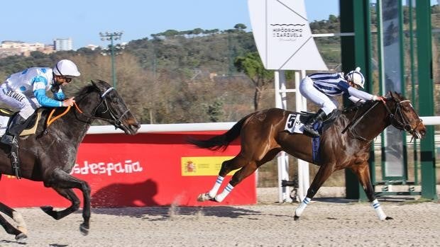 Gran éxito de la primera jornada del 'Family day Navidad' en el hipódromo de Madrid