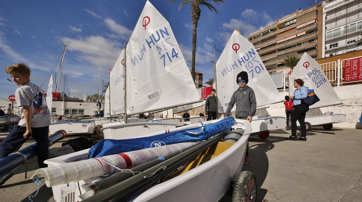 Más de 400 regatistas se citan en el Trofeo Euromarina Optimist Torrevieja