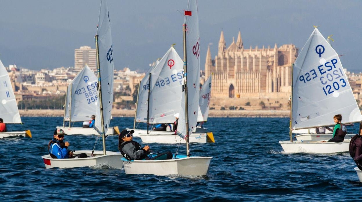 El Trofeo Pro-Rigging llega al Náutico de Palma con 240 embarcaciones