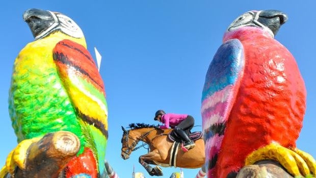 Récord de caballos jóvenes en el Andalucía Sunshine Tour con casi 600 participantes