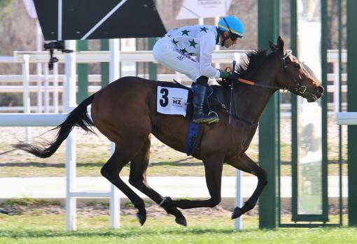 Sademi Rien, triunfador en la primera carrera, el premio Akelarre