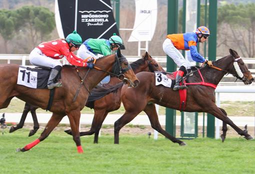 Natural Talent ganó la última carrera del día, el premio Benito marín