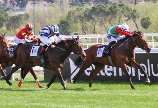 "NASAB" - 1ª CARRERA "PREMIO LA PISTA"