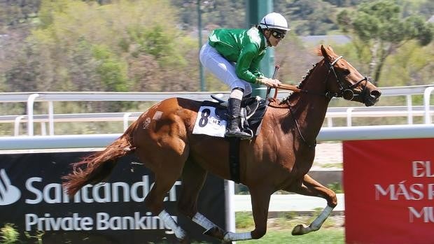 'Smash Hit' se impone con gran autoridad en el Premio Andrés Covarrubias