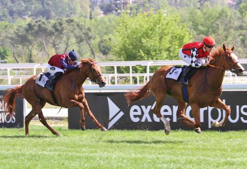 One More Night, ganador de la segunda carrera, el Premio Comunidad de Madrid