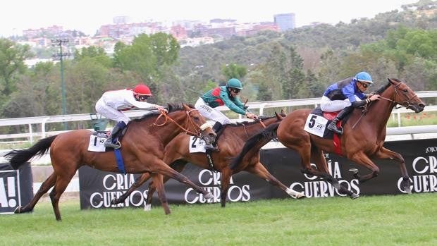 Velayos y Corpa, grandes citas este domingo en el Hipódromo de Madrid