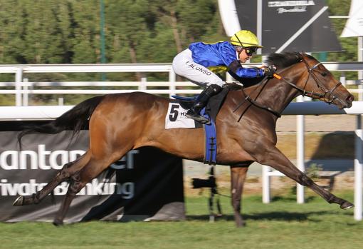 Azul, vencedor de la segunda carrera, el Premio Francisco Jaquotot