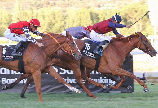 Super Trip, ganadora del Gran Premio Beamonte-Oaks Español