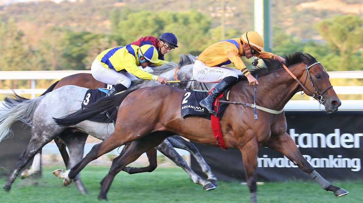 «GREAT PROSPECTOR» - 5ª CARRERA «GRAN PREMIO URQUIJO»